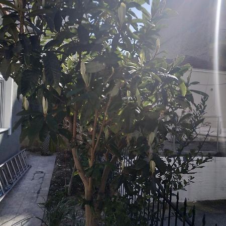 Nea Kallikrateia Agelikis' Apartments المظهر الخارجي الصورة