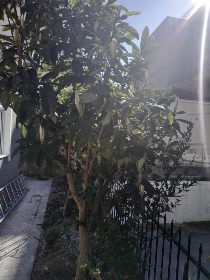 Nea Kallikrateia Agelikis' Apartments المظهر الخارجي الصورة